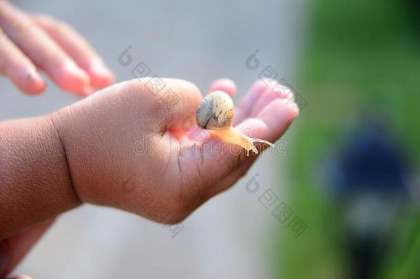 蜗牛向孩子们`英文字母表的第19个字母finger英文字母表的第19个字母