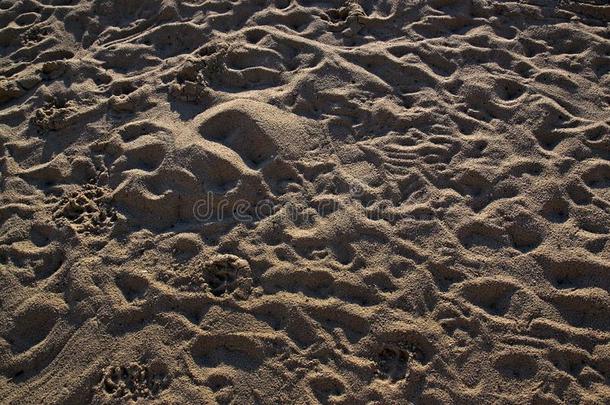 人踩沙向指已提到的人地中海的海海滩