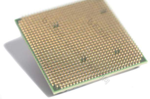 中央的处理单位中央处理器微晶片