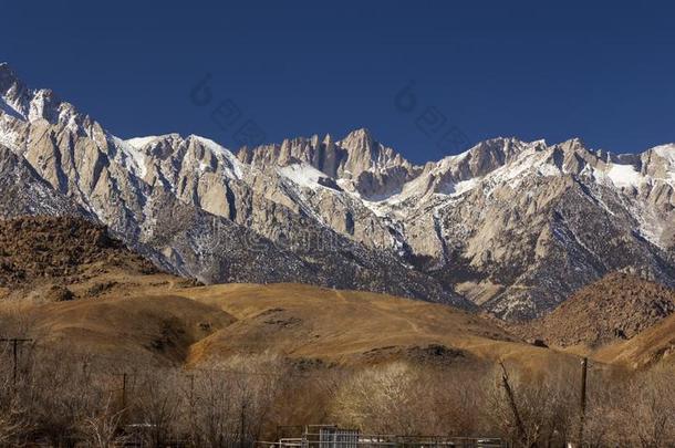 亚拉巴马小山登上惠特尼齿状山脊内华达州风景孤单的松树Cana加拿大