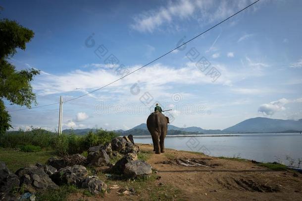 象步行在旁边指已提到的人湖为等游泳采用指已提到的人山口湖,驿站LaoPeople'sRepublic老挝人民共和国