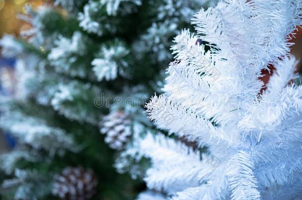 白色的和绿色的圣诞节松树树在夜软的集中