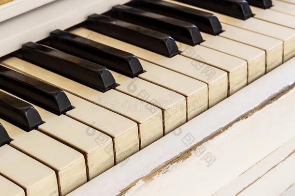 白色的钢琴,面看法关于仪器,音乐的仪器.学习