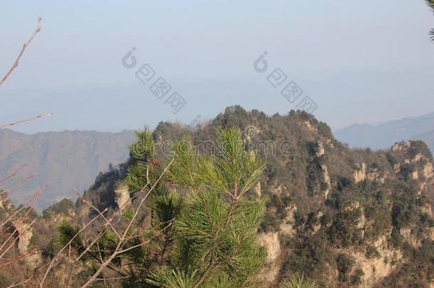 张家界国家的公园,中国.化身山