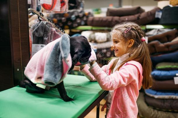 小的女孩挑选衣服为小狗采用宠物商店