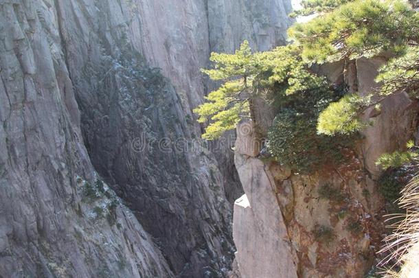 黄色的山-黄山,中国.