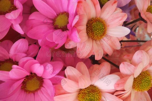 新鲜的和有魅力的富有色彩的花束花在指已提到的人花商
