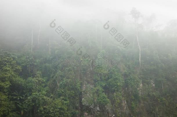 有<strong>雾</strong>的森林向小<strong>山</strong>采用mounta有<strong>雾</strong>的森林向小<strong>山</strong>采用mounta采用ou