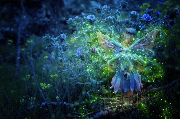 影像关于魔力的小的仙女采用指已提到的人夜<strong>森林</strong>.