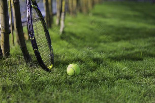 网球球和球拍向湿的草后的降下