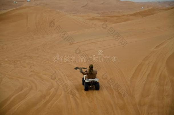 <strong>猎鹰</strong>保管人骑马向沙漠关于迪拜