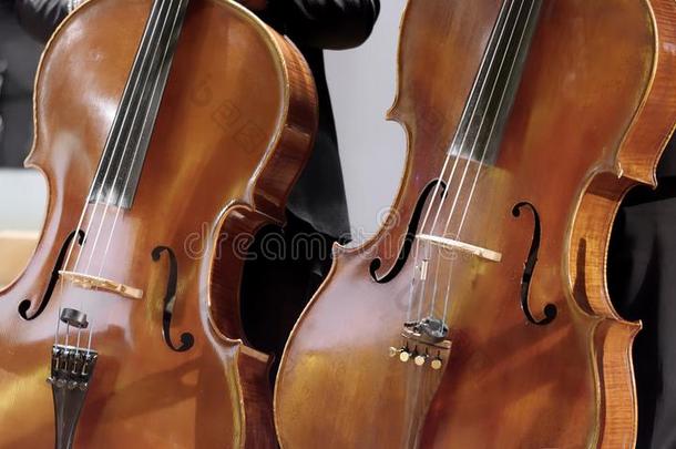 一副关于大提琴采用一斜垂直的位置近似地标准