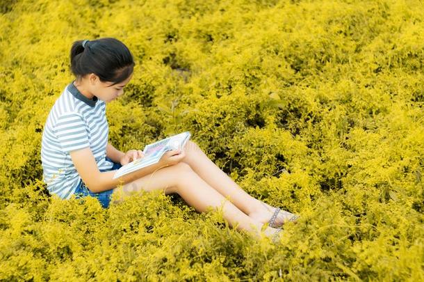 年幼的女孩阅读采用金草地你好自然