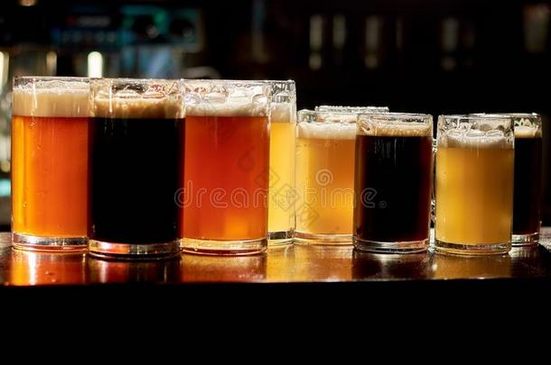 不同的分类关于啤酒采用条.