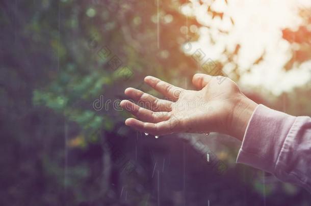 指已提到的人手触摸滴下雨分散的下.环境的自负