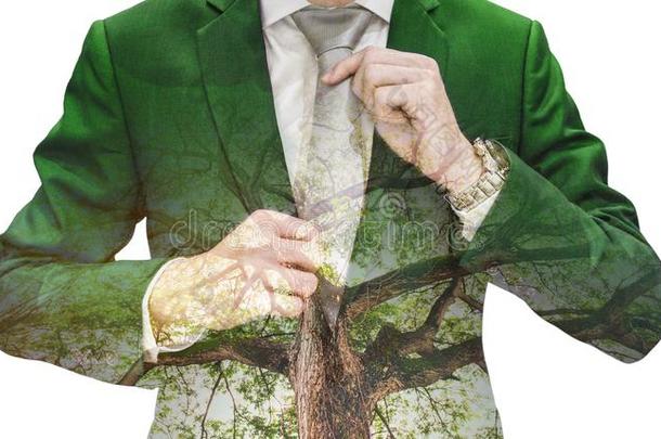 双的暴露商人采用绿色的一套外衣和大的树,向极少的量