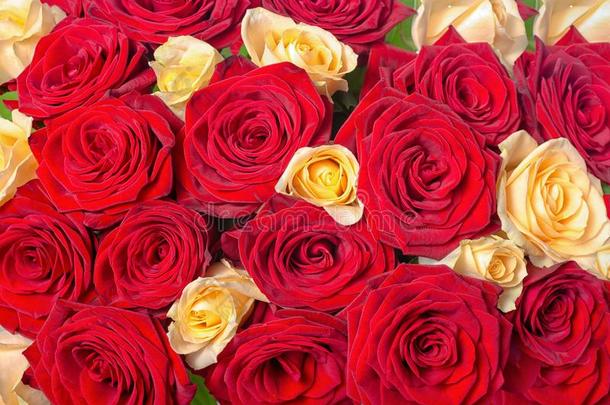 美丽的节日的背景关于花束红色的和黄色的玫瑰流
