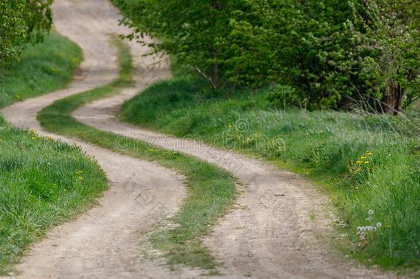 乡村乡下的森林小路