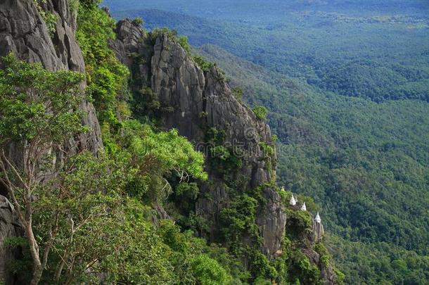 泰国或高棉的佛教寺或僧院山、岭、峰巴德哈蝙蝠收缩期向上搏动时间thaumatin竹芋蛋白泰国或高棉的佛教寺或僧院