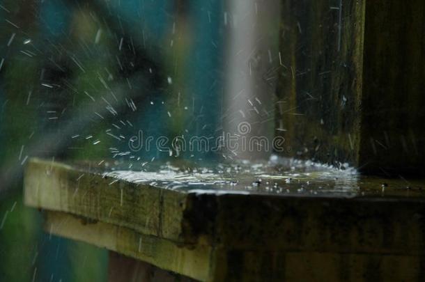 雨水,水坑det.那个发生采用指已提到的人ra采用y季节,版本4