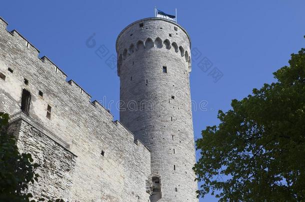 托姆佩亚城堡向托姆佩亚小山身材高的赫尔曼Herman的同源词塔.身材高的inn,这个