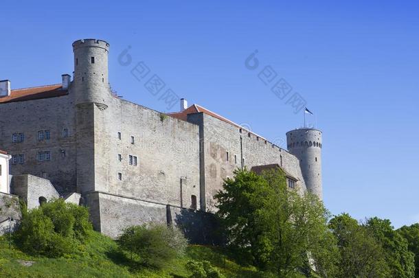 托姆佩亚城堡向托姆佩亚小山身材高的赫尔曼Herman的同源词塔.身材高的inn,这个