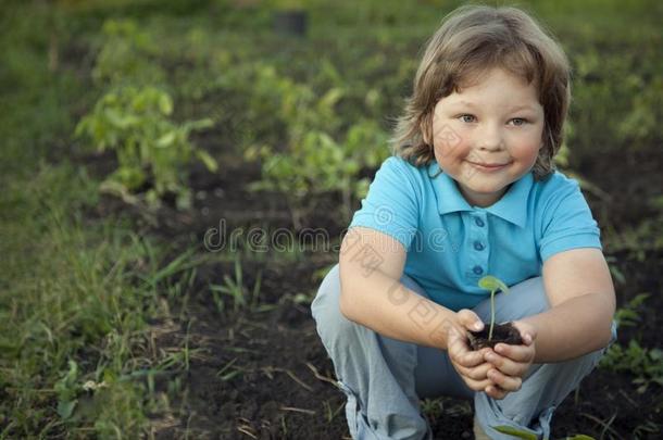 男孩采用指已提到的人花园赞赏指已提到的人植物在之前植物采用g.绿色的萌芽