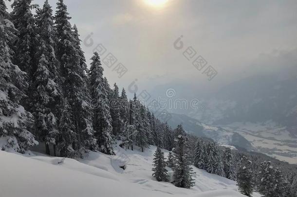 <strong>冬奥</strong>地利雪冰白色的寒冷的举起滑雪雪board山英文字母表的第19个字母