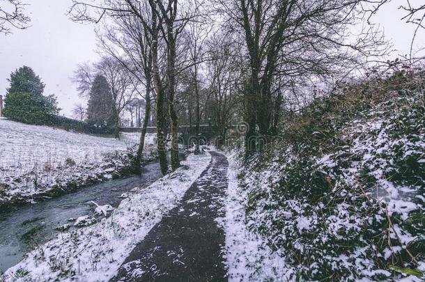 河流被环绕着的在旁边树和锚地大量的采用雪dur采用gstorage储藏