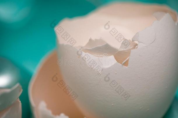 破碎的鸡蛋壳
