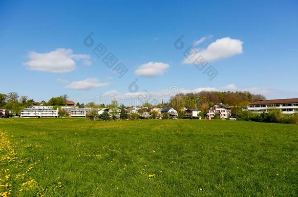 绿色的草地和住宅的家