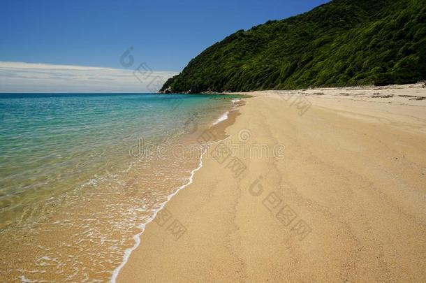 海滩在air-breath采用gelectriclaser吸气式电激光Sea塔斯曼海N在ional公园采用新的西兰岛