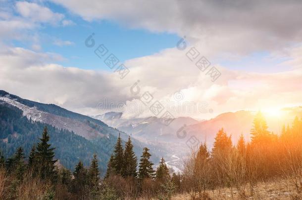 风景优美的冬看法向顶关于指已提到的人喀尔巴阡山脉的山