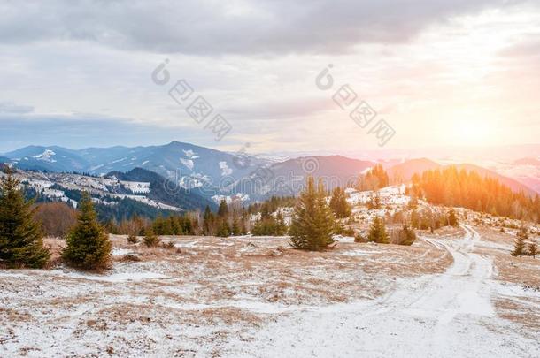 风景优美的冬看法向顶关于指已提到的人喀尔巴阡山脉的山