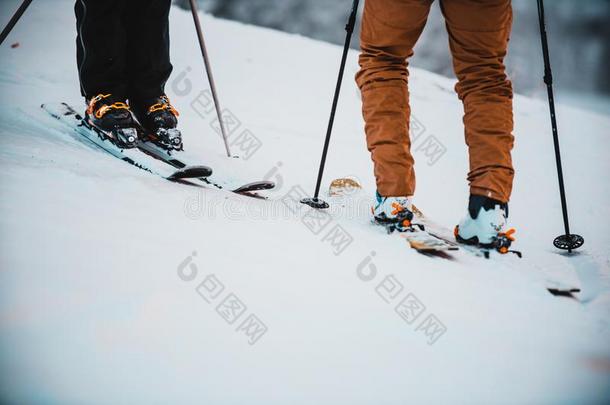 滑雪板和滑雪板.冬假日设备.