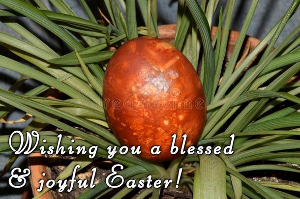 复活节鸡蛋和一文本`愿望你一神圣的&快乐的复活节!`
