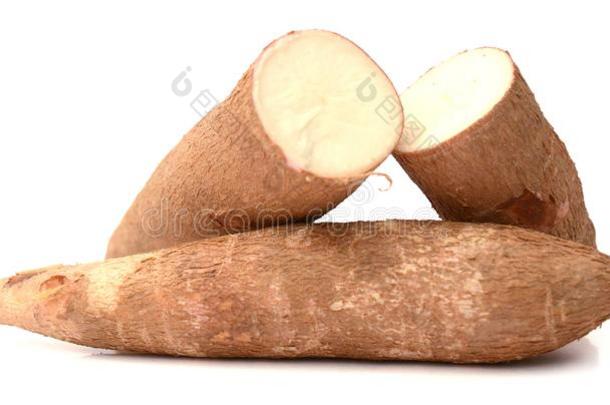 木薯块茎