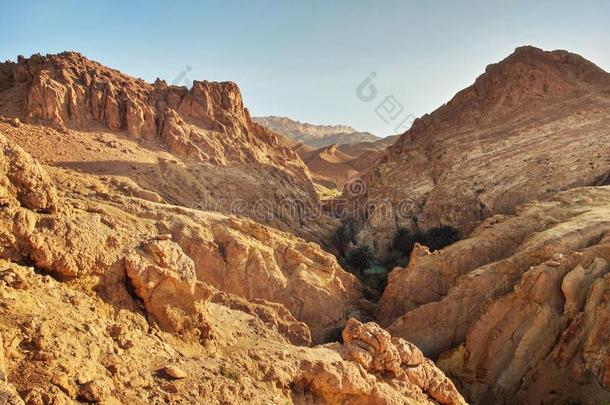 干的干燥的岩石采用沙漠,点火在旁边中午太阳.舍比凯<strong>绿洲</strong>
