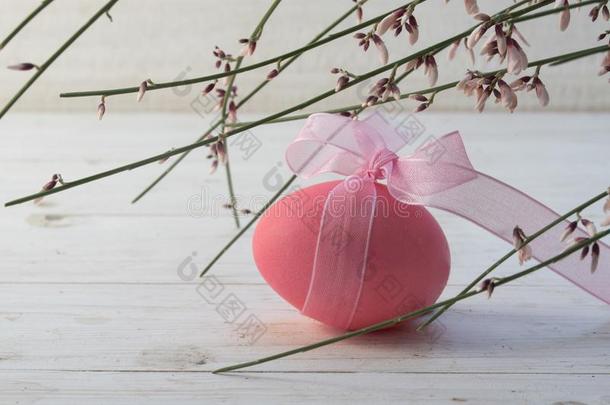 粉红色的复活节卵和一日本<strong>梦梦</strong>在下面盛开的genist一或扫帚向