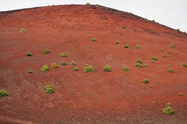 植物殖民统治指已提到的人红色的氧化的表面关于山区美国科罗拉多州英语字母表的第22个字母