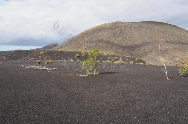 暗淡的火山的风景采用蒂曼法亚国家的公园,<strong>兰萨罗特</strong>岛