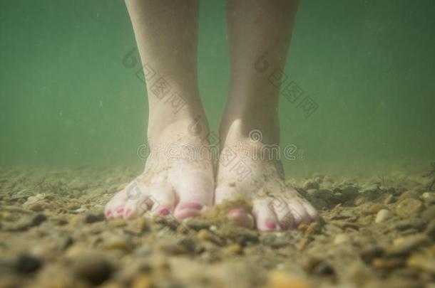 脚在水中的向st向ey和泥泞的地面