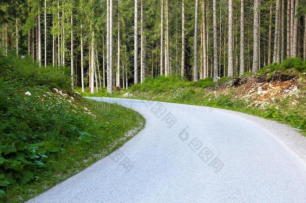 沥青路采用指已提到的人森林回复向指已提到的人左边的