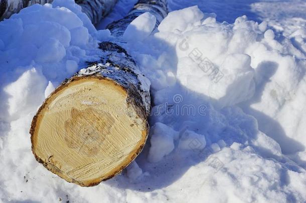 练习用球瓶.雕刻木材.桦树练习用球瓶采用指已提到的人雪.fire木材