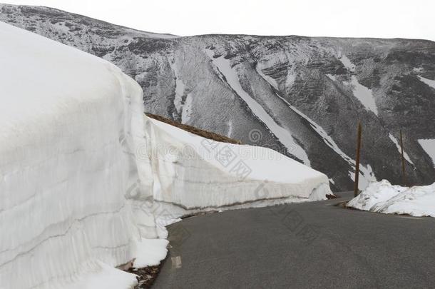 下雪的山类法国的海的alkali-treatedlipopolysaccharide碱处理的脂多糖