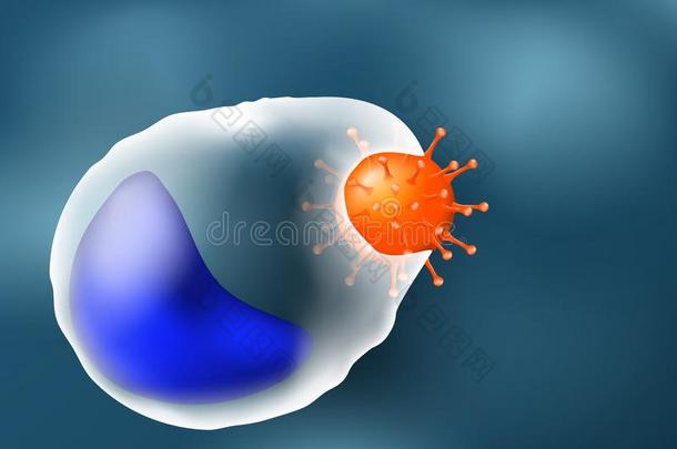 Phagocytosis.白细胞和病毒