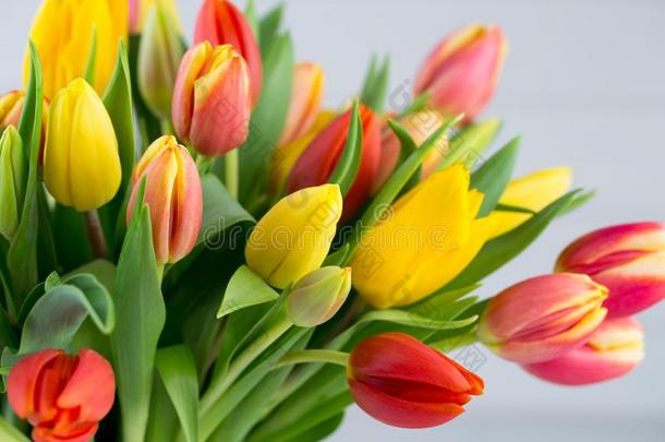 一富有色彩的春季问候卡片和郁金香为复活节,母亲`