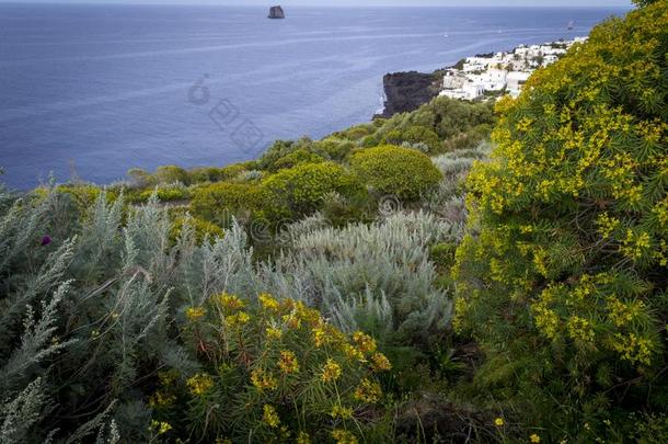 陡峭的海岸关于针叶树和仙人掌和村民住宅