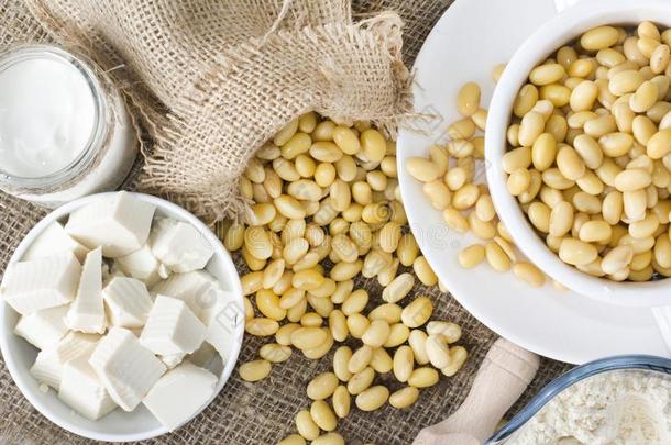 新鲜的有机的大豆乘积:大豆奶,大豆酸奶,大豆切斯豆腐