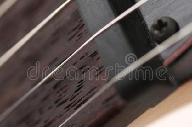 典型的形状木制的电的吉他和红木颈